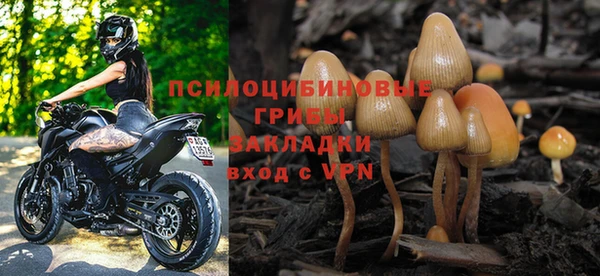 мяу мяу мука Сафоново