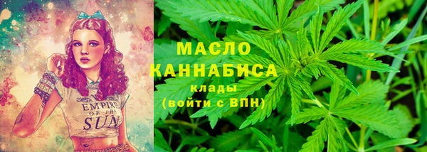 гашик Сатка