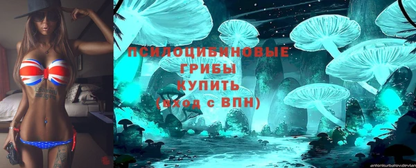 гашик Сатка