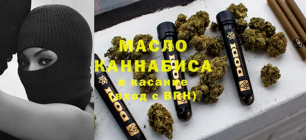 гашик Сатка
