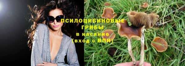 мяу мяу мука Сафоново