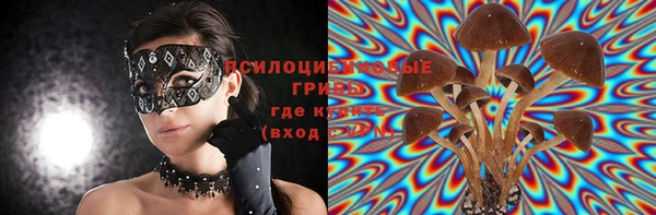 a pvp Саяногорск