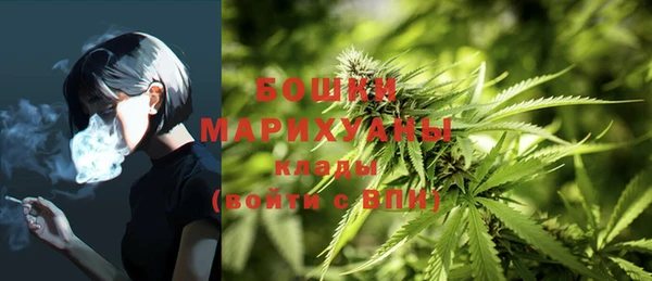 a pvp Саяногорск